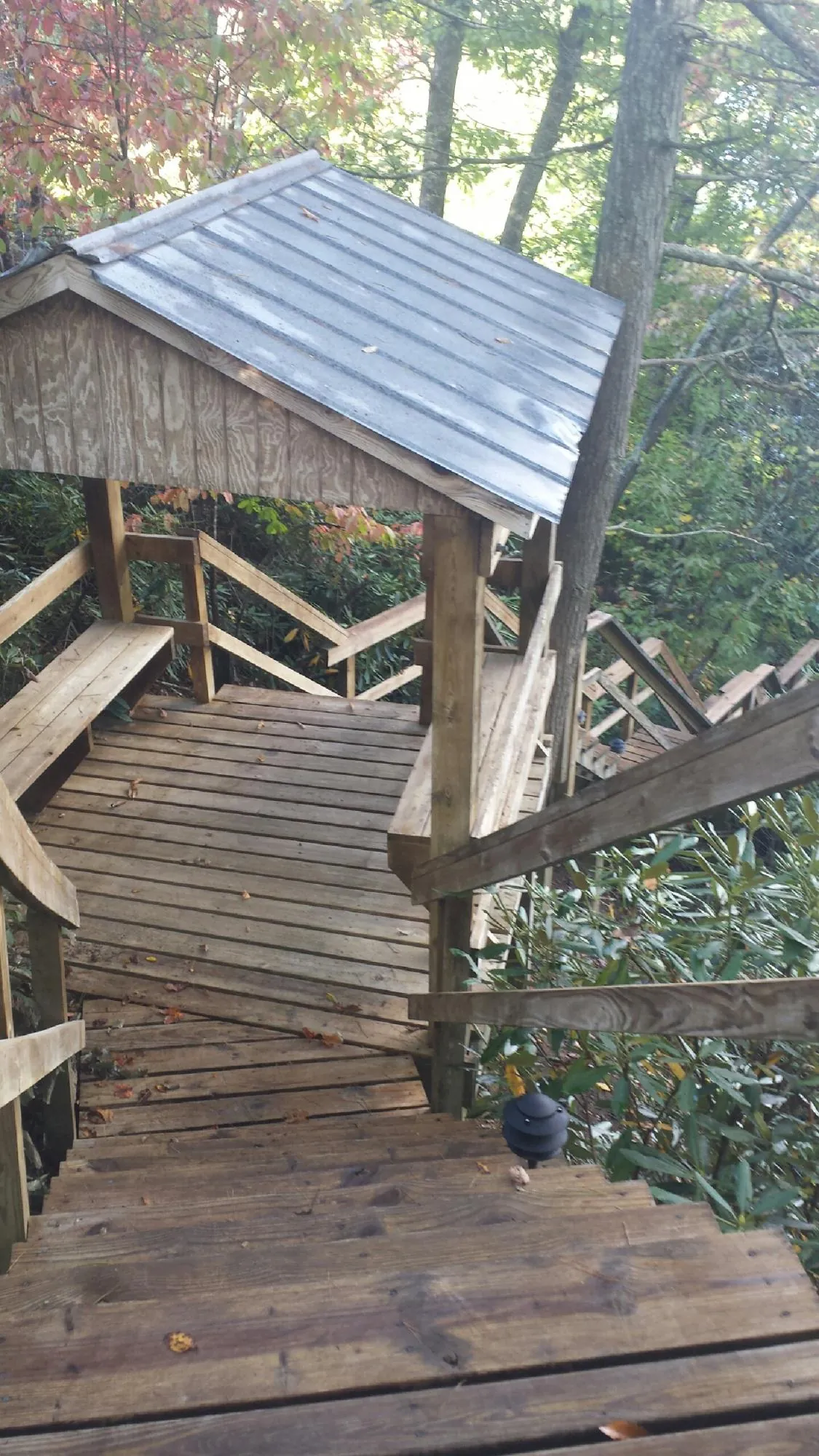 Metal roofed shelter over wooden steps on a wooded walkway — Skylight Repair & Installation work by our crew in Mico